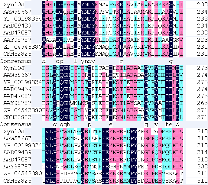 Alignment of the Xyn10J to xylanolytic enzymes. The consensus sequences are indicated by box