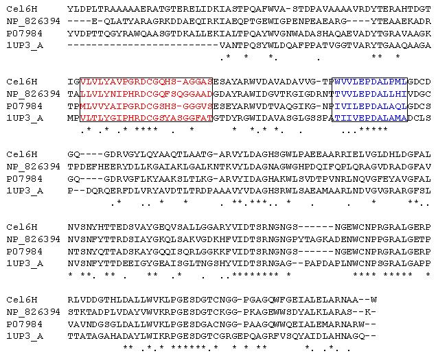 Alignment of the Cel6H to cellulolytic enzymes. The consensus sequences are indicated by box