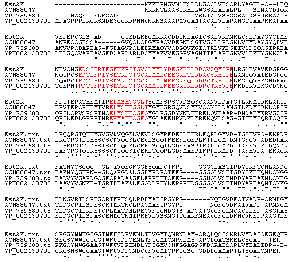 Alignment of the Est2K to esterolytic enzymes. The consensus sequences are indicated by box.