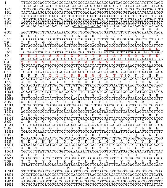 Nucleotide and deduced amino acid sequences of est7K gene