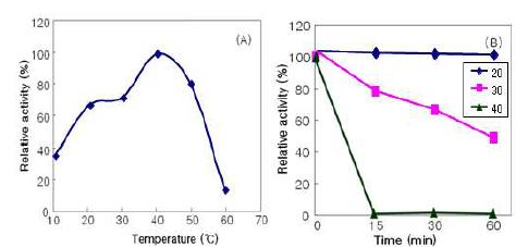 Effect of temperature (A) and thermostability (B) on enzyme activity of Est7K