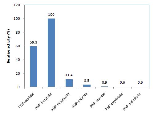 Substrate specificity of Est7K.