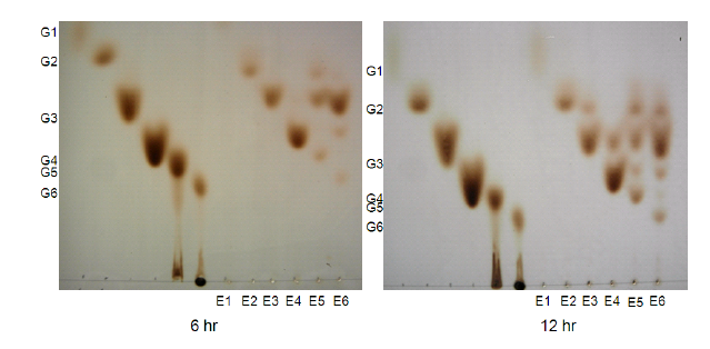 TLC analysis of hydrolysis products of cello-oligosaccharide substrates by Lic8H. The standards used were glucose(G1), cellobiose(G2), Cellotriose(G3), Cellotetraose(G4), Cellopentaose(G5), cellohexaose(G6).