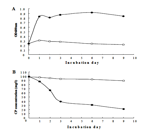 (A) Cell growth response and (B) chlorpyri fos (CP) degradation pattern of Lactobacillus brevis WC902 (b) and Escherichia coli DH5a as control (O) in MSMN medium containing 100mg/L of CP for day 9. Values indicate the means of three replications