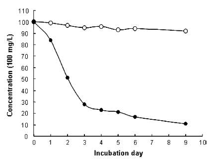 Degradation of TCP by E. coli DH5a and recombinant E. coli DH5a harboring TCP degrading gene (tcp3A) in M9 medium containing TCP (100 mg/l). Concentration of TCP was measured by HPLC (Perkin-Elmer 200 series, Norwalk, CT, USA) using a C18 column (250 9 4.6 mm, 5 lm, Phenomenex, CA, USA)