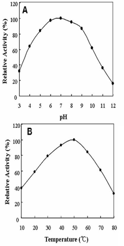 Characteristics of the relative enzyme activity of Lic16A expressed in E. coli DH5α