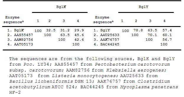 Pairwise Similarity (%) of BglK and BglY