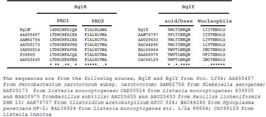 Alignment of the regions surrounding the conserved regions of BglK and BglY