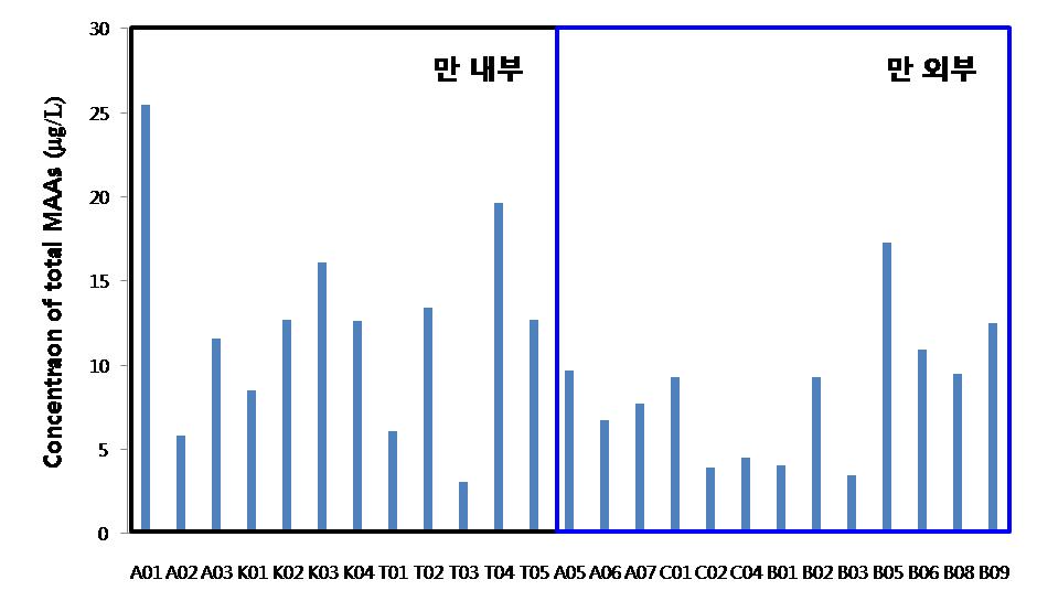 Total MAAs의 정점별 농도 분포