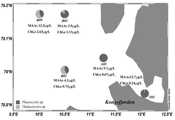 Thalassiosira sp.와 Phaeocystis sp.의 상대적인 존재비 및 표층 해수의 Chl a농도와 Total MAAs 농도 비교