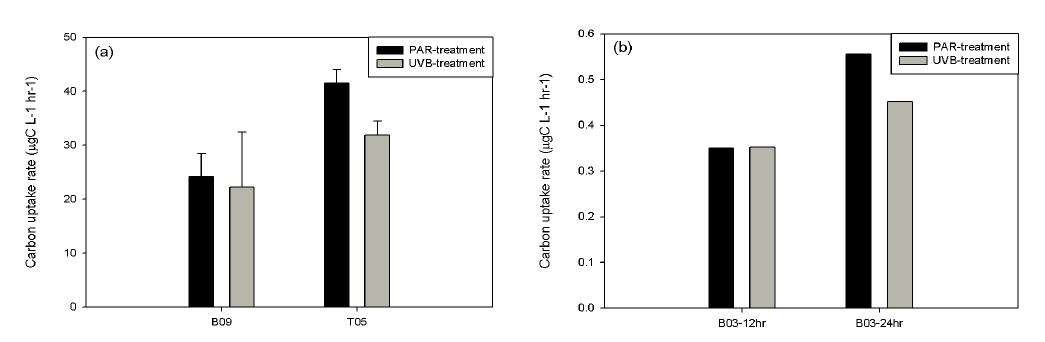 현장 배양 후 carbon uptake rate 변화 (a)72hr 배양 (b)24hr 배양