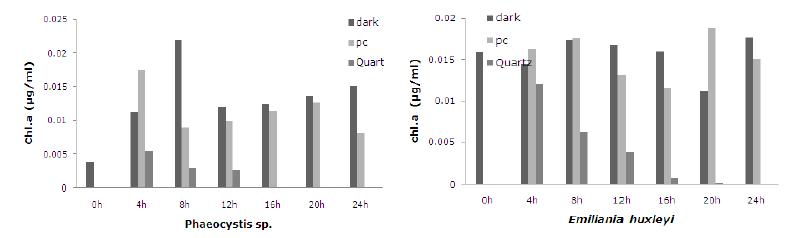 Emliania huxleyi와 Phaeocystis sp.의 시간에 따른 Chl a의 농도 변화