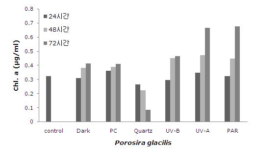 Porosira glacilis의 시간에 따른 Chl a의 농도 변화