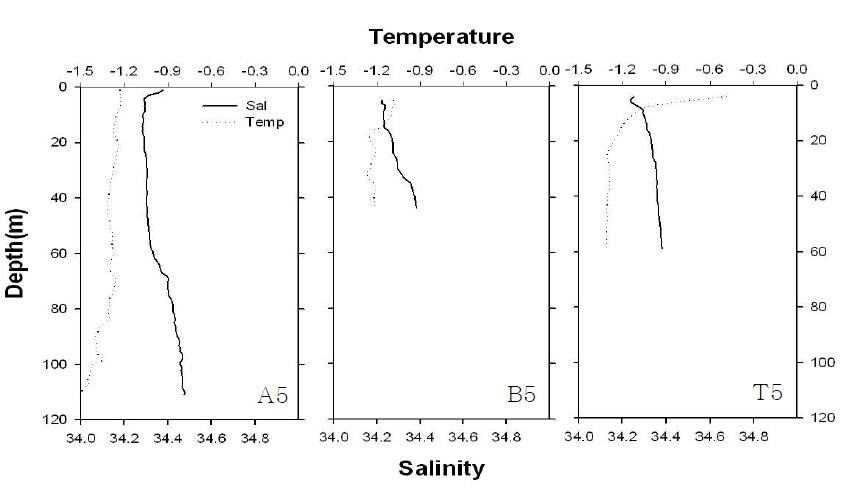 다산기지 주변 해역의 수온, 염분 수직 분포