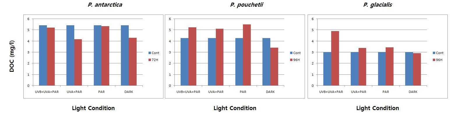 각 식물플랑크톤의 배양액 중 빛 조건에 따른 DOC의 초기 농도와 최종 농도 비교