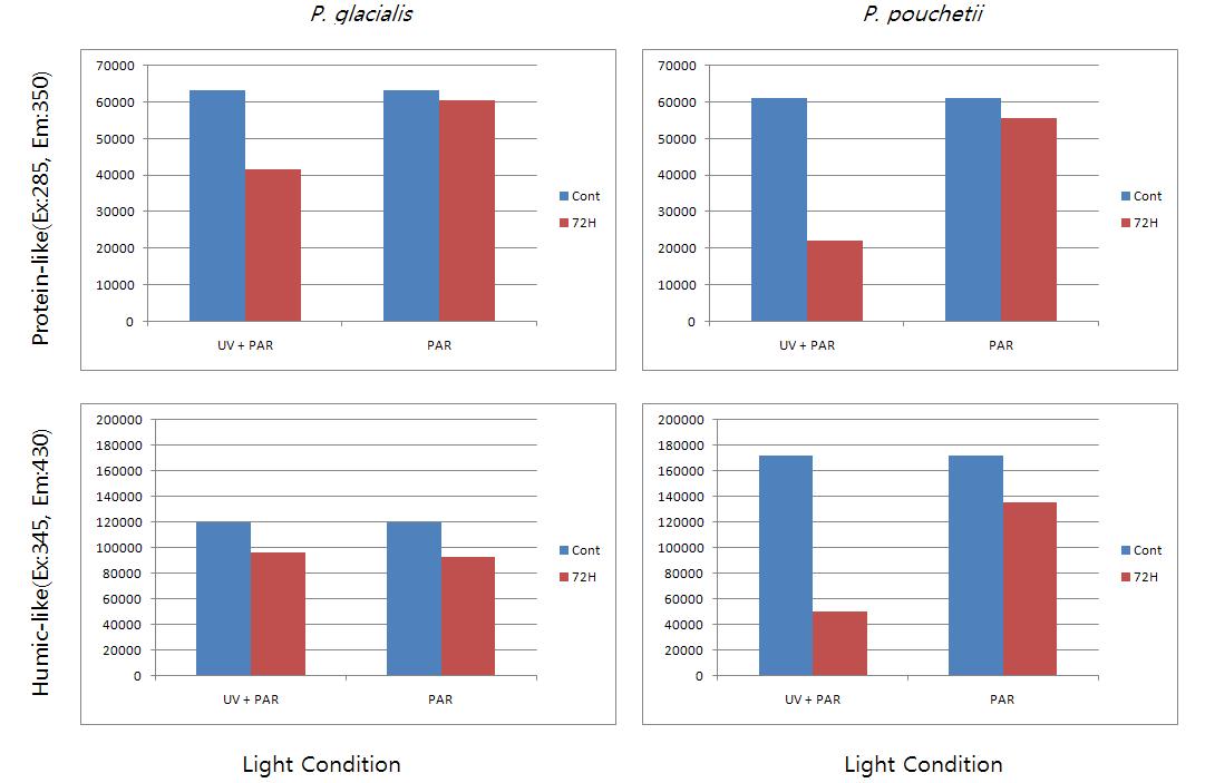 식물플랑크톤을 제거한 (0.2μm filter로 여과) 배양액에서 protein-like (위)와 humic-like (아래의 빛 조건에 따른 초기 형광세기와 72시간 후 형광세기 비교