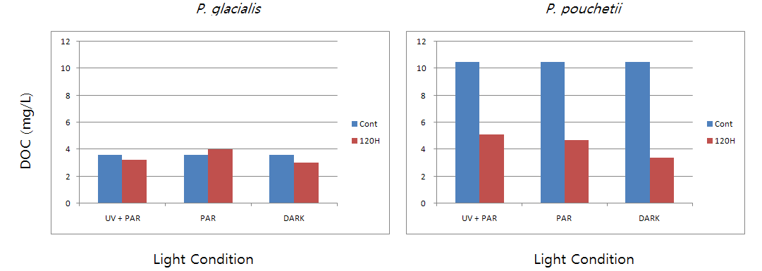 빛 조건에 따른 DOC 농도 변화