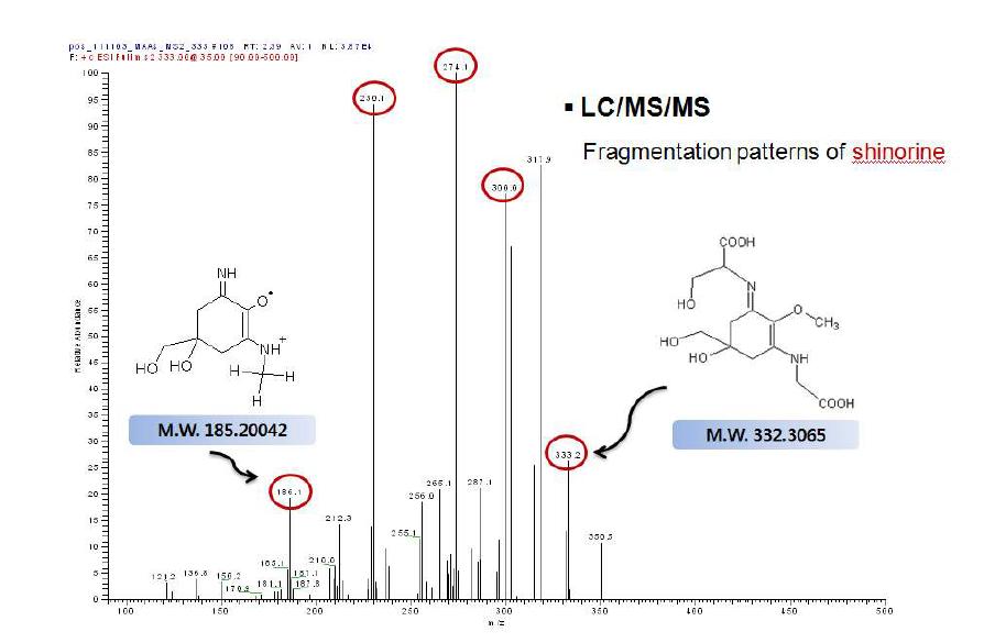 Shinorine의 LC/MS/MS 분석결과