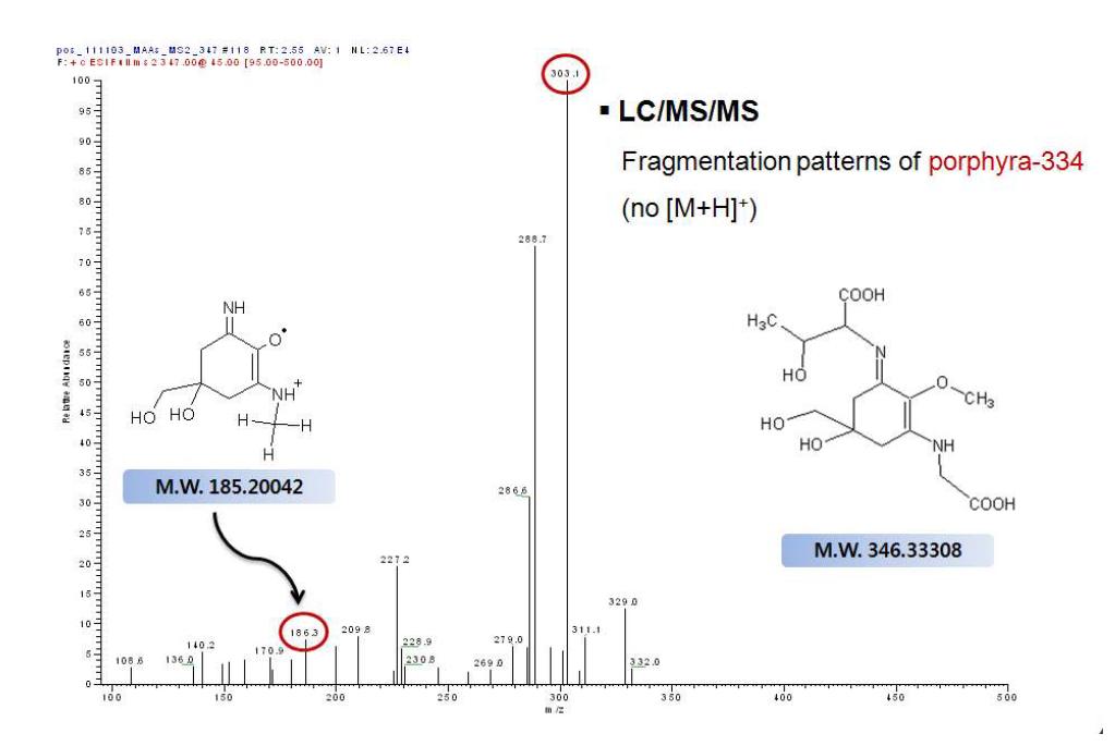 Porphyra-334의 LC/MS/MS 분석결과