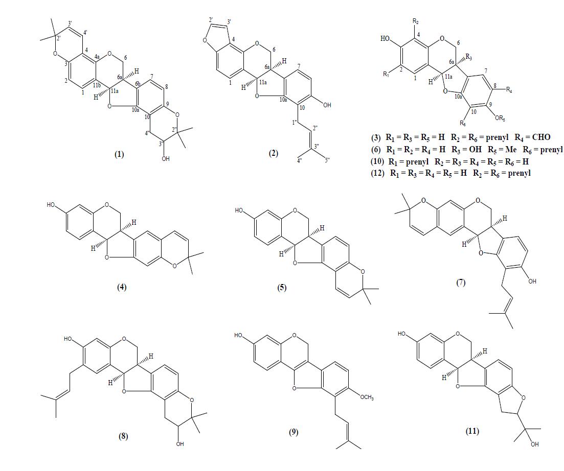 Chemical structures of 1 – 12 isolated from Erythrina lysistemon.