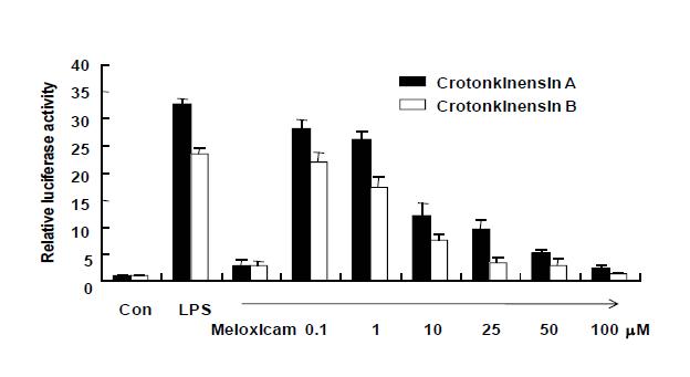 Effects of compounds 13 and 14 on the LPS induced COX-2 promoter activity in Raw 264.7 cells. Con: control, LPS: lipopolysaccharide, Meloxicam was treated at the concentration of 20 μM