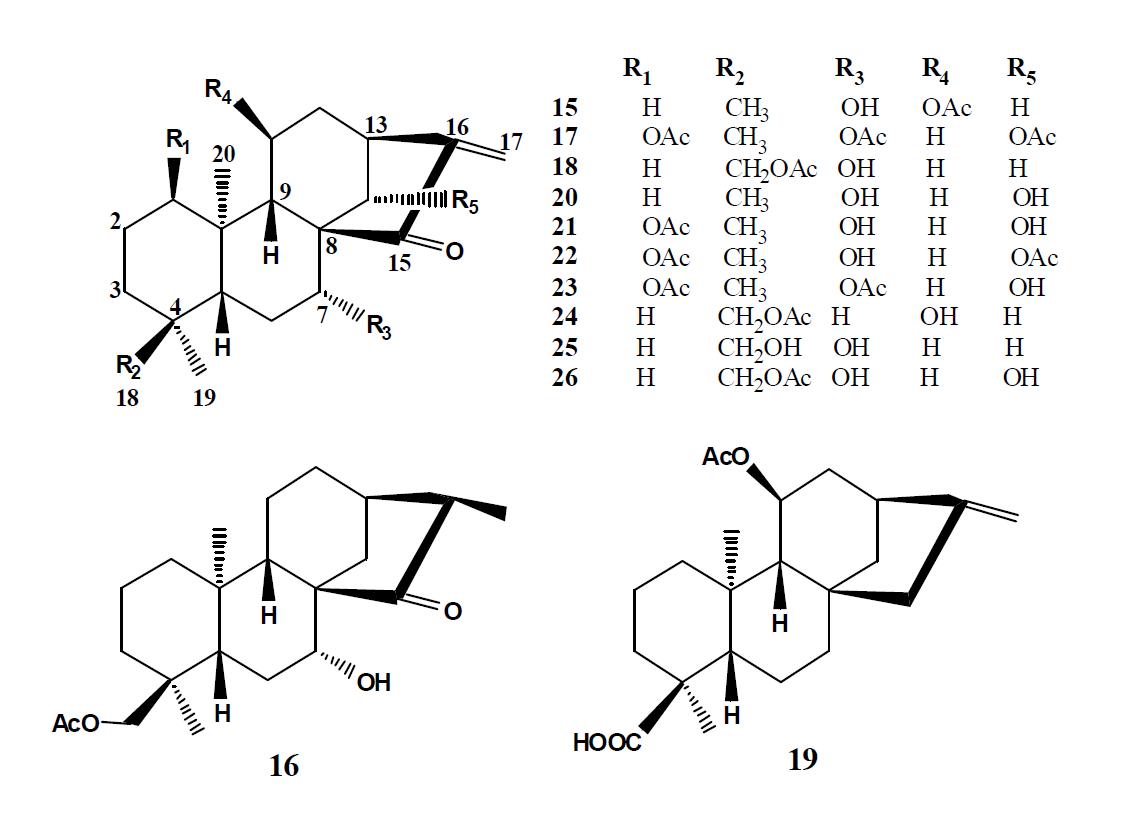 Chemical structures of compounds 15 – 26.