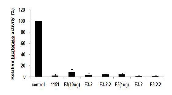 Morus Alba의 추출물인 F3.2.2를 이용한 NF-kB 활성의 저해를 측정하였음