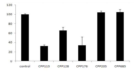 약물의 처리 후 세포 생존 정도를 그래프로 나타낸 것. cpp133, cpp128, cpp176이 세포 독성을 나타내는 것으로 보임