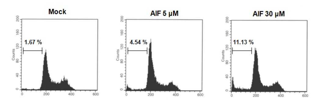 AIF를 처리하지 않은 세포군들에 비해 처리한 세포들은 AIF의 농도에 의존적으로 sub-G1의 비율이 증가됨.