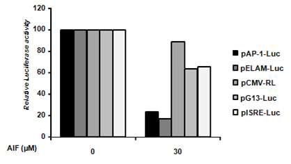AIF처리에 의해 강하게 조절 받는 신호전달경로는 AP-1과 ELAM의 활성에 영향을 주는 경로임