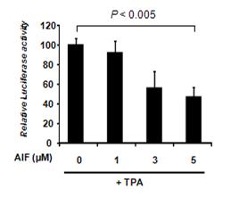 AIF 처리 농도에 따른 AP-1 Luc의 발현정도변화. AIF 농도에 의존적으로 발현이 낮아짐