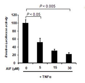 pELAM-Luc의 발현이 AIF의 농도에 의존적으로 억제되는 것을 보여줌. AIF 30μM 농도에서는 TNFα에 의해 활성화된 발현정도가 거의 기저 수준으로 떨어짐