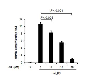 AIF 처리에 따른 대식세포(RAW264.7)의 NO 생산량을 그래프로 나타낸 것임. NO 생산량이 AIF의 농도에 의존적으로 줄어드는 것으로 보아 AIF가 NF-κB 신호전달경로를 억제한다고 생각됨