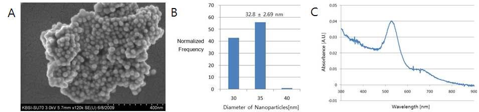 Au 나노입자 제조; A. SEM 이미지, B. 크기 분포도, C. UV-Vis 스펙트럼