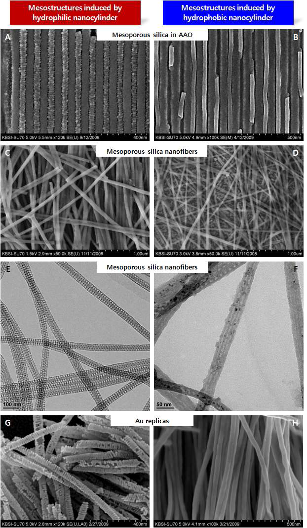 나노실린더 내부에 도입된 메조기공 실리카의 SEM 사진(A, B); 메조기공 실리카 나노섬유의 SEM 사진(C, D) 및 TEM 사진(E, F); 전기화학적 증착법으로 복제된 메조기공 1차원 금 나노섬유의 SEM 사진(G, H)