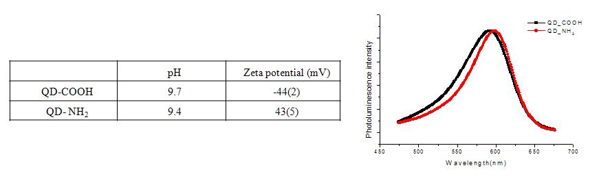 표면 개질된 나노입자의 표면 전하와 PL 스펙트럼