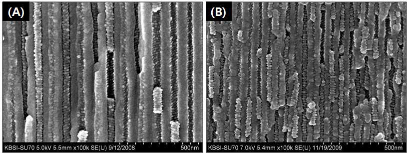 나노실린더 직경 60 nm(A)와 35 nm(B) 나노실린더 내 메조채널 실리카 도입된 혼성형 주형막의 측면