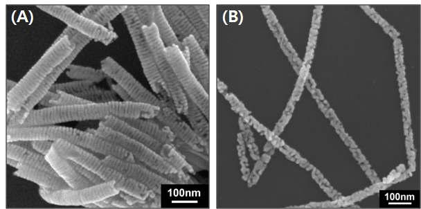 직경 60 nm(A)와 35 nm(B) 금 나노코일 구조체
