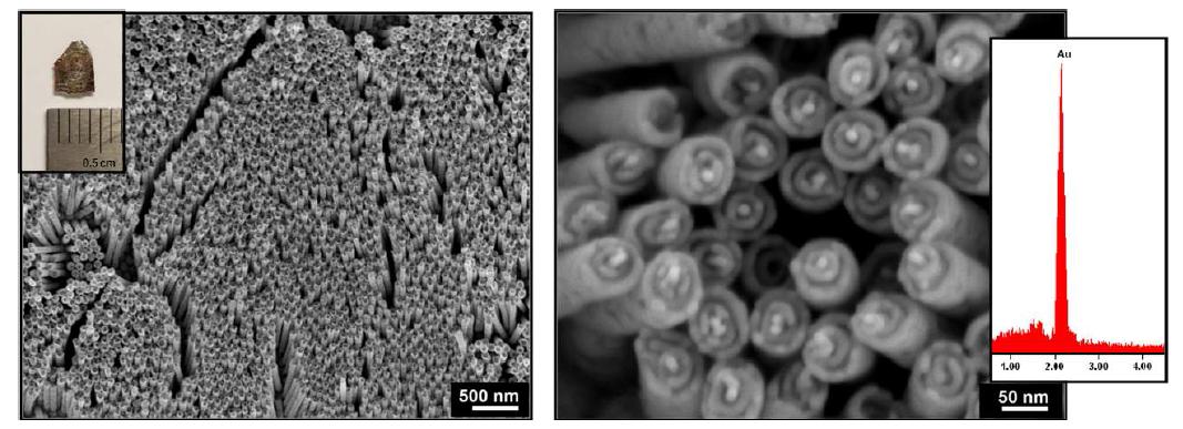대면적 나선형 코일구조의 금 나노선 집적체의 SEM 이미지 및 EDX 성분분석 데이터