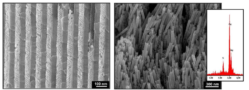 대면적 나선형 코일구조의 은 나노선 및 집적체의 SEM 이미지 및 EDX 성분분석 결과