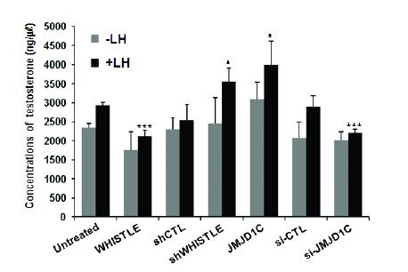 the testosterone concentrations (ng/ml) via radio immunoassay