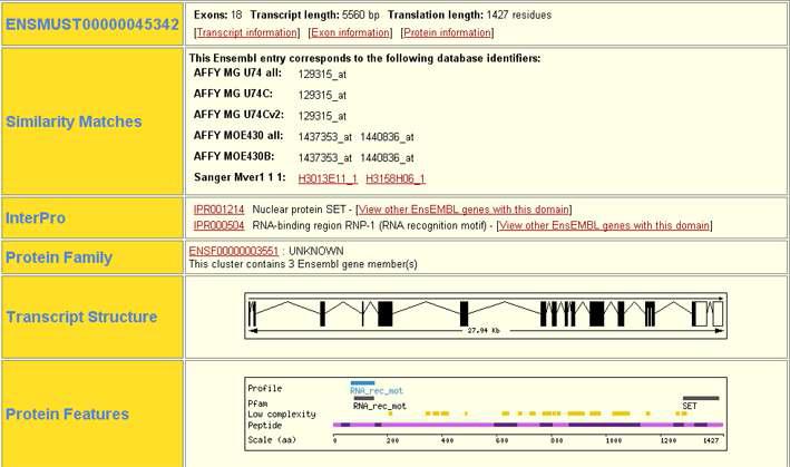 Structure prediction of SET11 showing that SET domain is located in the 3