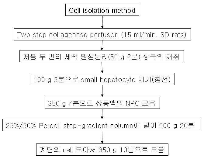 Two-step collagenase 관류법을 이용한 SEC 분리 방법