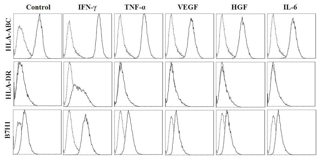 간 줄기세포(HLSC)에서 발현되는 면역 관련 항원의 간 손상시 분비되는 Cytokine(IFN-r, TNF-a, VEGF, HGF, IL-6) 처리에 따른 발현 변화