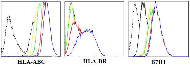 IFN-r(1000U/ml) 처리 후 시간에 따른 간 줄기세포(HLSC)의 HLA -A BC, HLA -DR, B7H1의 발현 변화.