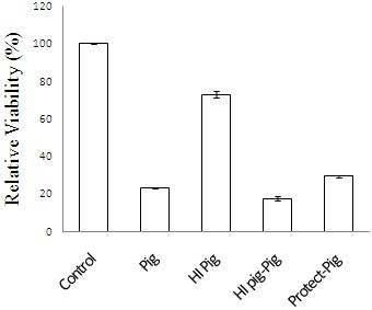 porcine 혈장 내에서의 HLSC의 사멸
