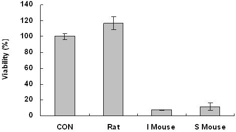 ICR mouse 및 SCID mouse 혈장에서의 이식세포의 생존율 변화