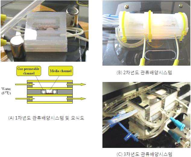 관류 배양 시스템의 개선