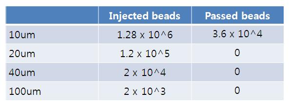 관류조건 개선 후 Microbead injection 시험