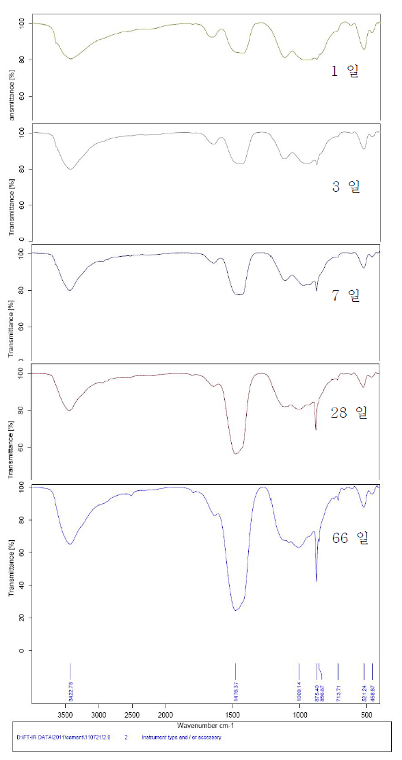 ‘cement + 미생물 + 물’의 FT-IR spectrum